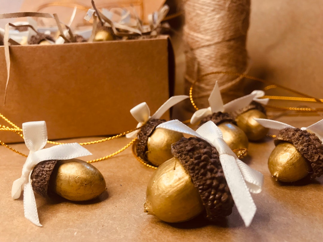 Lot De 6 Décorations De Gland En Acrylique Rustique Avec Créatures