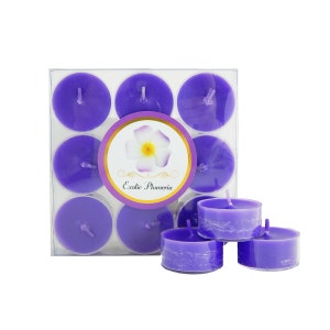 2er Pack TEELICHTKERZEN, AROMATHERAPIE-Kerzen, Duftteelichter, Mini Plumeria Luxuskerze Einzigartige Aromatische Geschenkidee