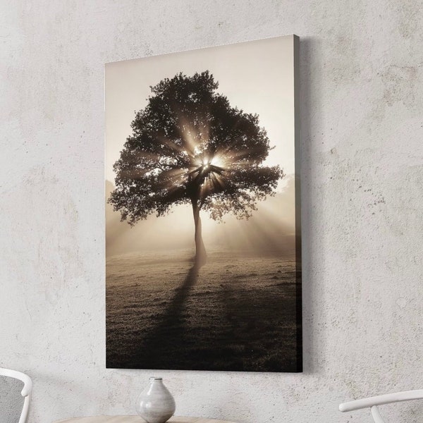 Tree & Sun Streaks - Modern Canvas Wall Art Print, Nature Inspired Home Decor, High Quality Giclee Poster, Ready to Hang Interior Decoration