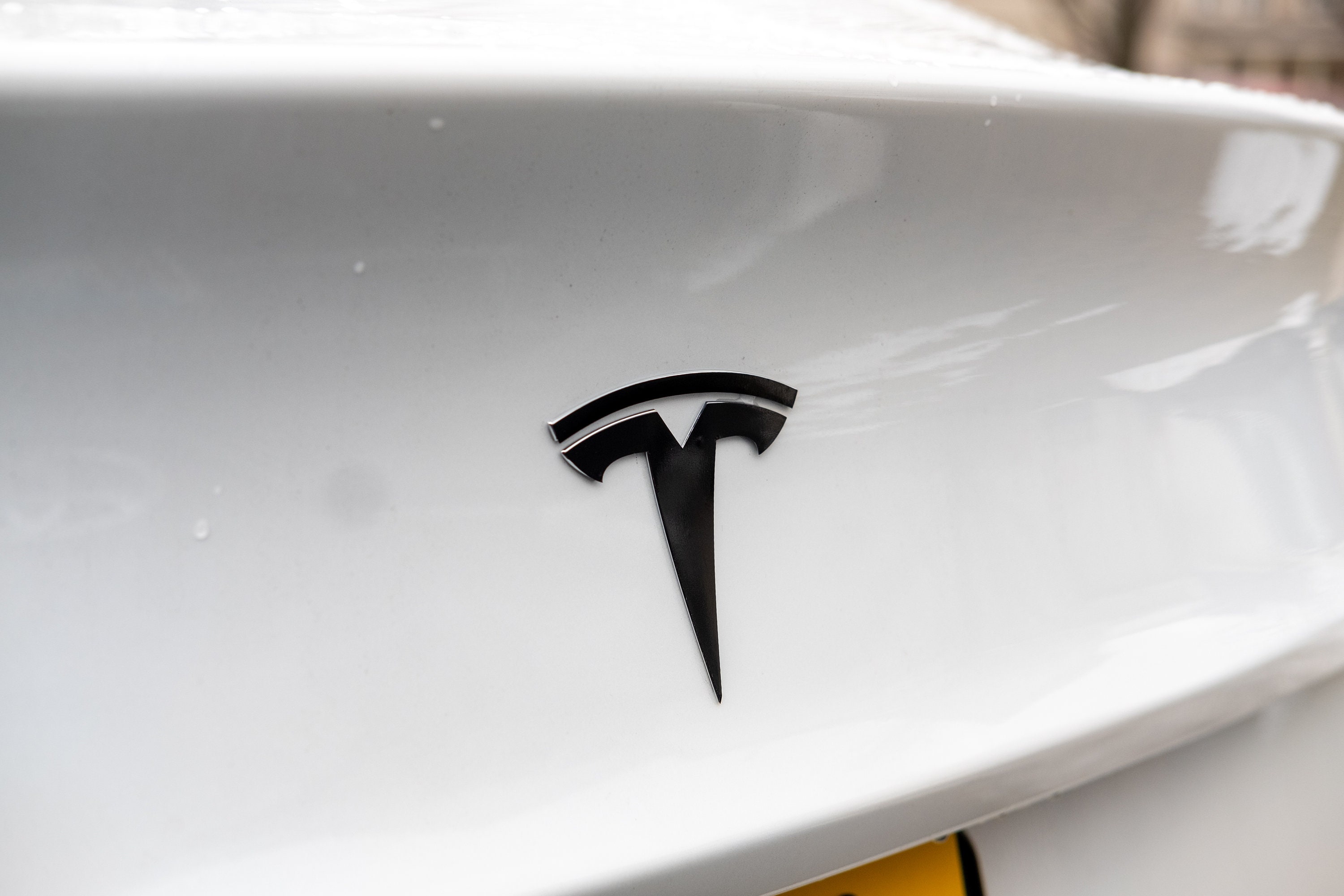 Tesla Model 3 & Model Y Emblem Decal Kit Etsy