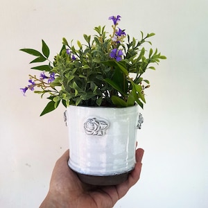 May include: A white ceramic planter with a raised floral design, filled with a small green plant with purple flowers.
