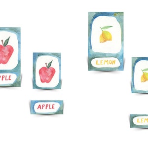Fruit driedelig leeshulpmiddel