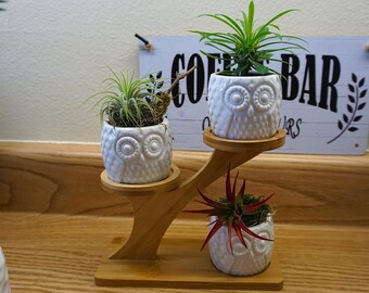 Owl Succulent Pots Ceramic Garden Planter Flower Holder Bamboo Stand Sets