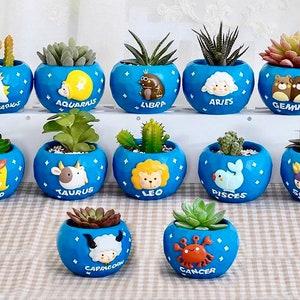 Zodiac Lover Planters/Pots! Astrology Gifts, Zodiac Gifts, Cute Planter,Constellation, Astrology Decor Zodiac Candle Holder,Star Sign Gifts