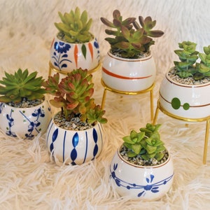 Mini Ceramic Planter with Iron Stand for Air Plants & Succulents