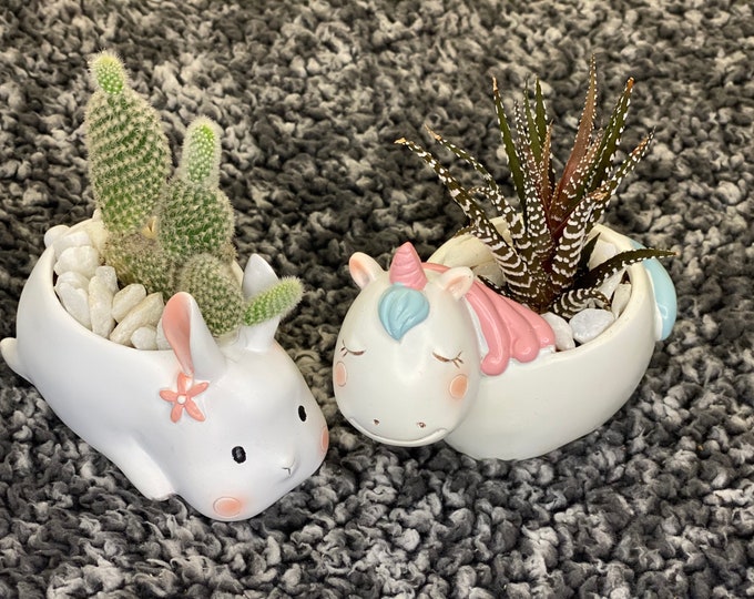 Adorable Animals Planters Collection