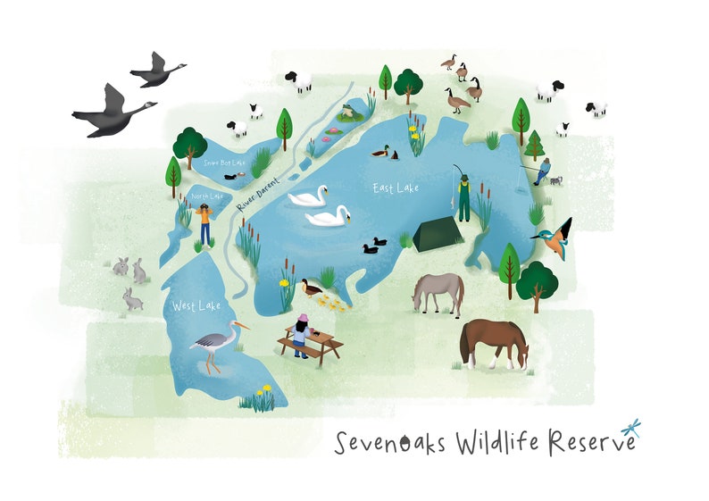 Sevenoaks Wildlife Reserve Illustrated Map Landscape / Map / Etsy UK