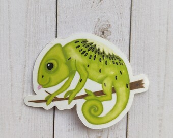Pegatina Kiwi Chameleon, pegatina de vinilo pequeña