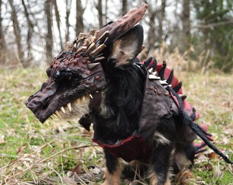 Handmade Drogon Dog Costume. Game of Thrones