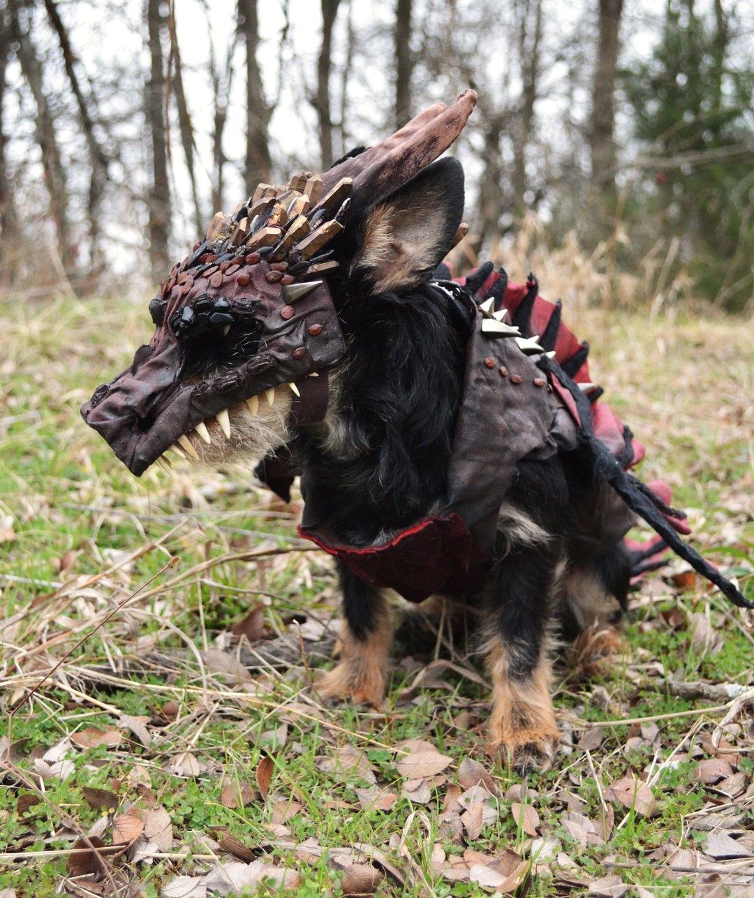Handmade Drogon Dog Costume. Game of Thrones Etsy