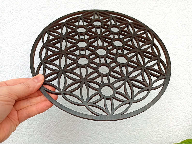 May include: A dark brown wooden wall hanging with a geometric pattern, resembling a flower of life design.