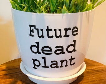 Dead plant pot!!!