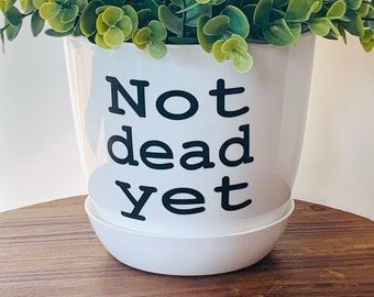 Not dead yet plant pot!!!
