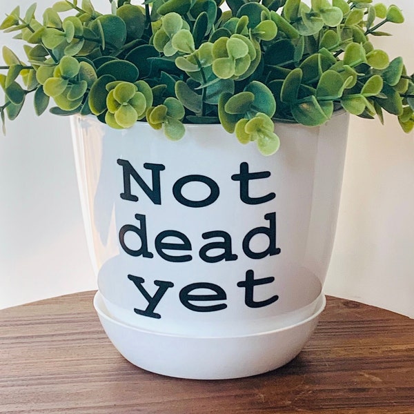 Not dead yet plant pot!!!