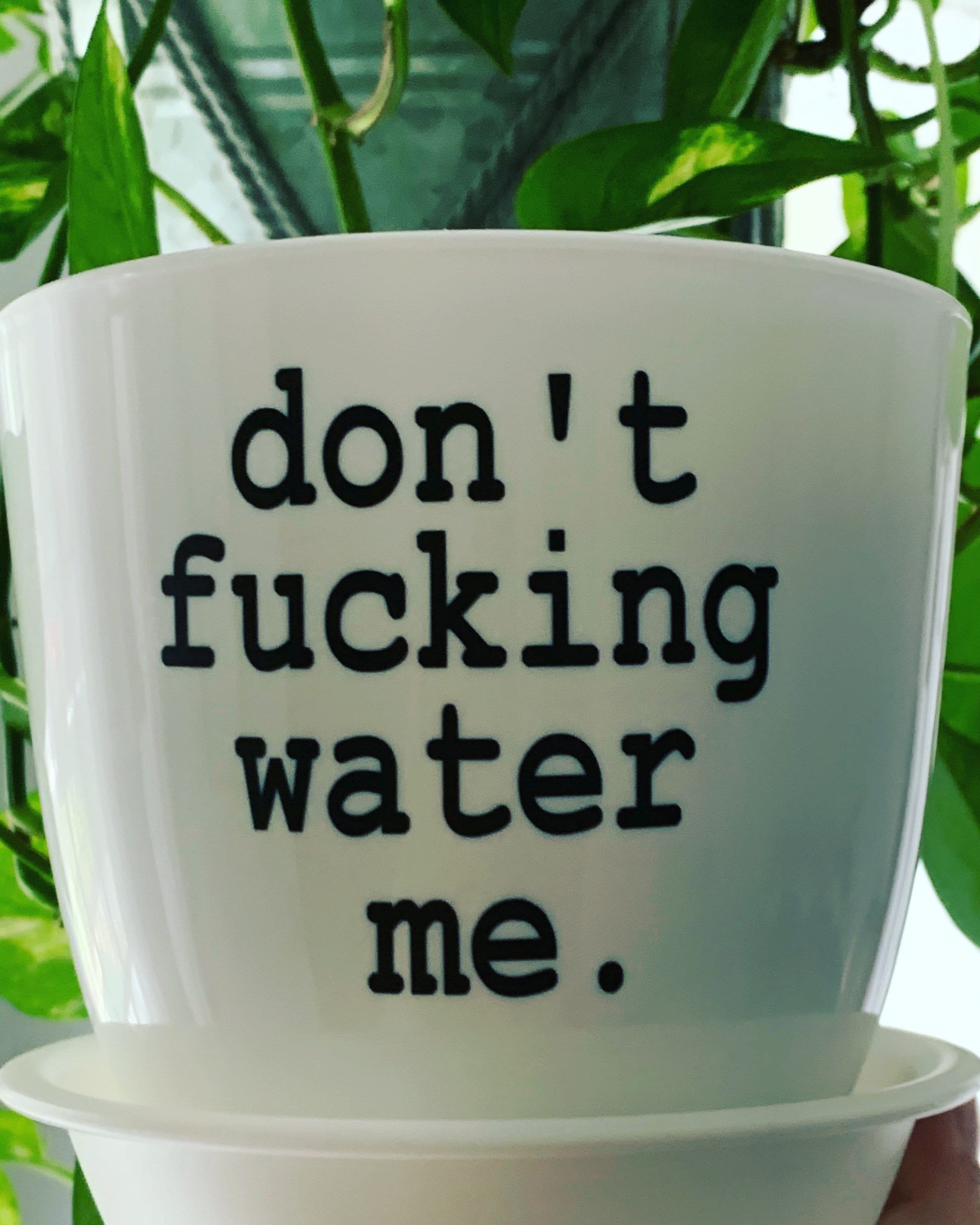 Dont Water Me Pot Etsy