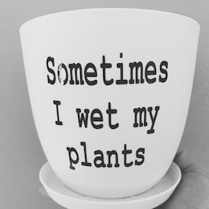 Wet my plants pot