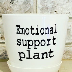 Emotional Support Plant Pot!!!