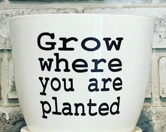 Grow where you are planted pot!