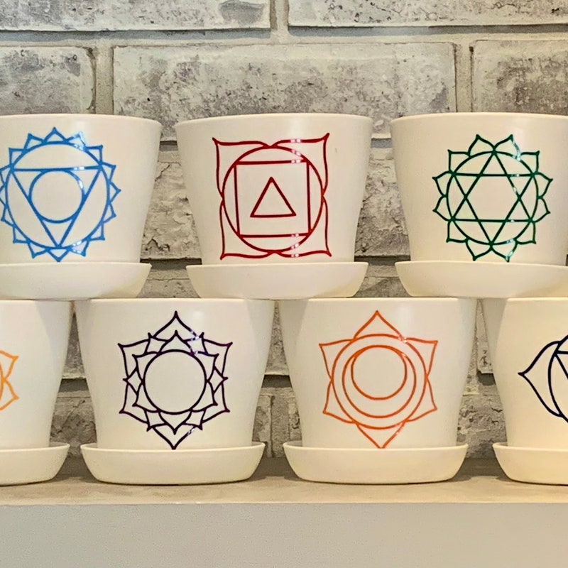 PlantswithAttitude - Etsy