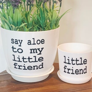 Say aloe to my little friend pot set