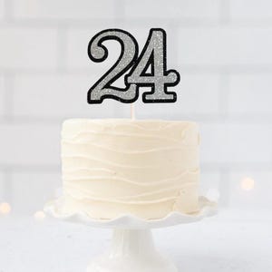 Number 24 cake topper - more colors. 24th birthday cake topper 24th anniversary cake topper 24 years cake topper