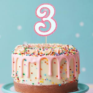 Birthday Number 3 cake topper Number cake topper Three Cake topper 3rd birthday cake topper 3 cutout