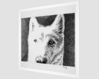 Siberian Husky Art Print, 8 x 8 inch Pet Portrait, Dog Wall Art, Pencil Drawing