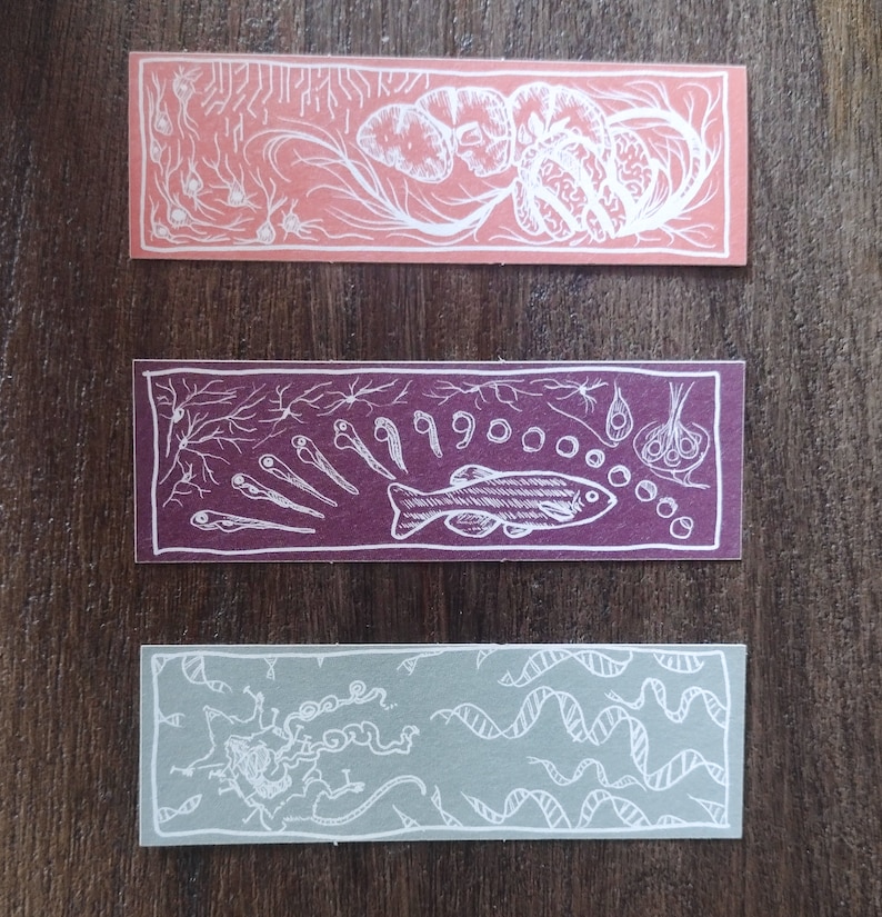 Root Bookmarks Biology Sticker Set (3) - Etsy