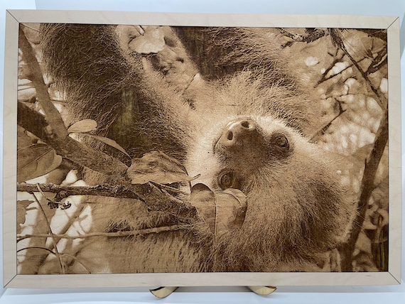 Sloth - Wood Engraving - Wall Art