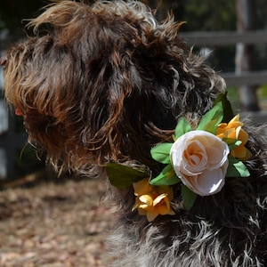 dog flower collar, dog collar, flower collar for dogs, flowers for dogs, artificial dog flowers, dog flower wedding