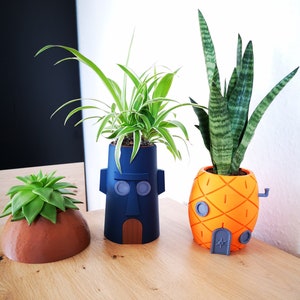 Spongebob & Squidward Planters / Bikini Bottom House