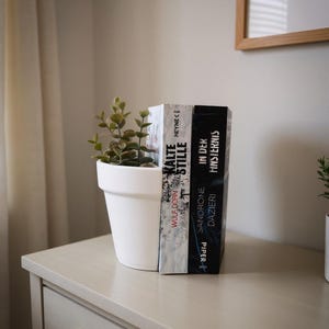 Könnte beinhalten: Ein weißer Keramik-Blumentopf mit einer grünen Pflanze, neben drei Büchern. Die Bücher haben weiße, schwarze und graue Einbände mit deutschem Text. Der Topf und die Bücher stehen auf einer hellgrauen Kommode.