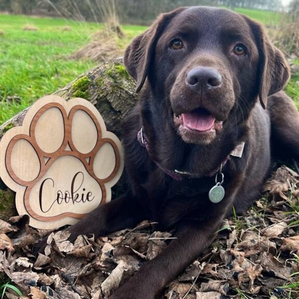 Personalised Dog Paw Sign Etsy UK