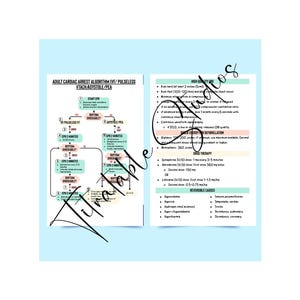 Op de afbeelding: Een medische referentiekaart getiteld Adult Cardiac Arrest Algorithm met een stroomschema voor VF, pulseloze VT, asystolie en PEA, naast een lijst met richtlijnen voor hoogwaardige reanimatie, schokenergie en omkeerbare oorzaken.