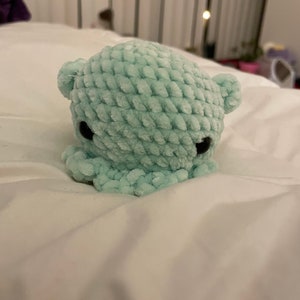 cuddly cuttlefish