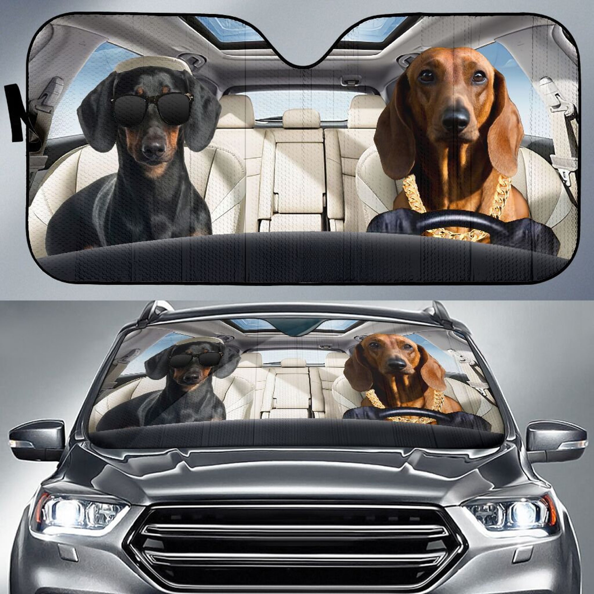 Discover Dog - Dachshund - Auto Sun Shade Auto Cover Protector Window