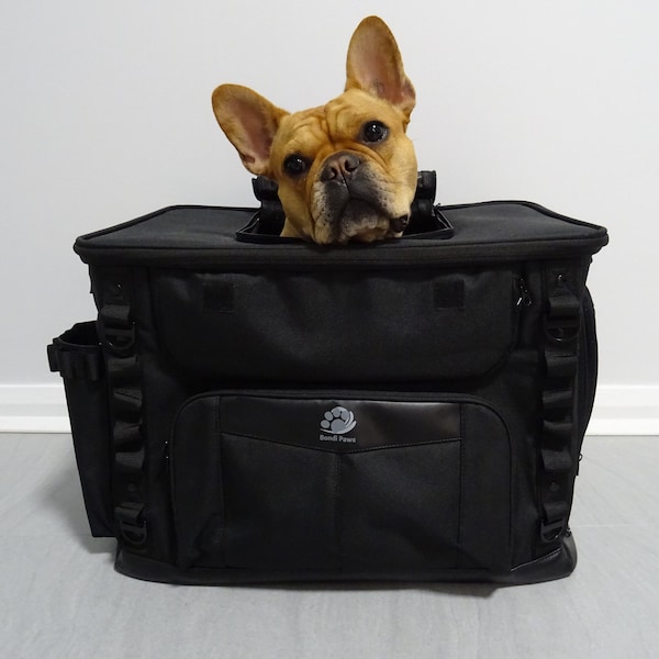 Dog Carrier Motorcycle Etsy