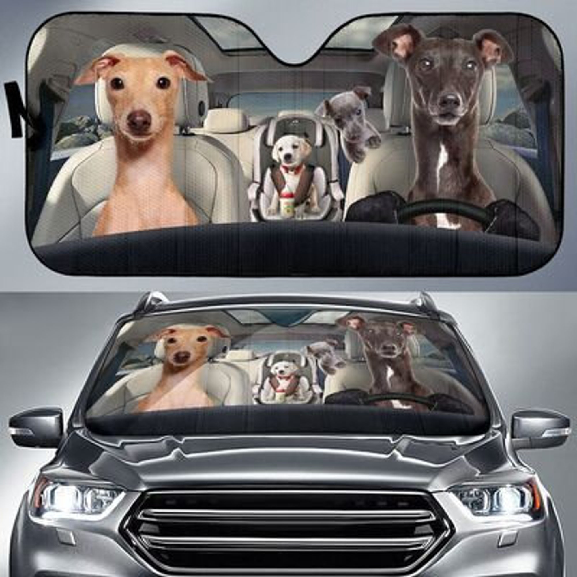 Greyhound Family Funny Safe Driver Auto Sun Shade
