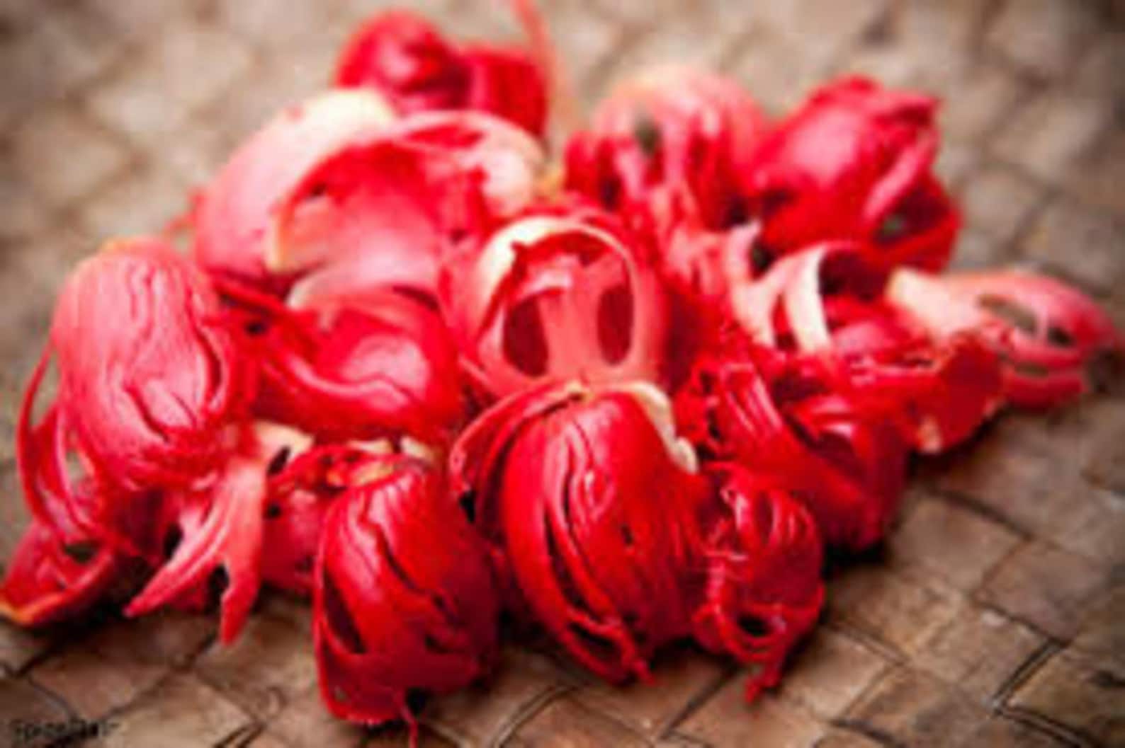 Nutmeg Mace Flowers Organic Mace Real Mace Indian Javitri Etsy