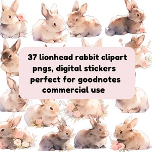 Lindo paquete de pegatinas digitales Lionhead Rabbit - PNG de imágenes prediseñadas imprimibles, pegatinas de goodnotes, acuarela, lindos conejitos kawaii
