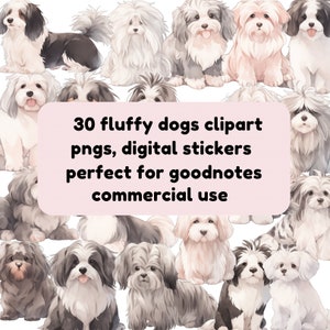 Versatile Havanese Dog Clipart: Fluffy Dogs in Digital Stickers and PNGs, pastel, goodnotes stickers, watercolour, cute kawaii dogs