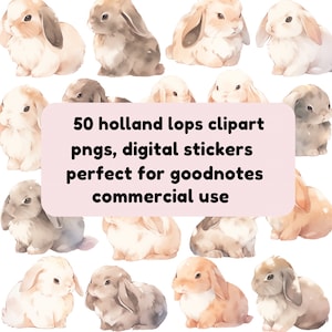Watercolour Holland Lop Bunnies Clip Art Set - Digital Download, PNGs, digital stickers, goodnotes stickers, cute kawaii