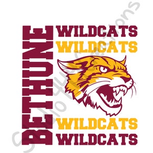 Bethune Cookman Tigers Svg and PNG