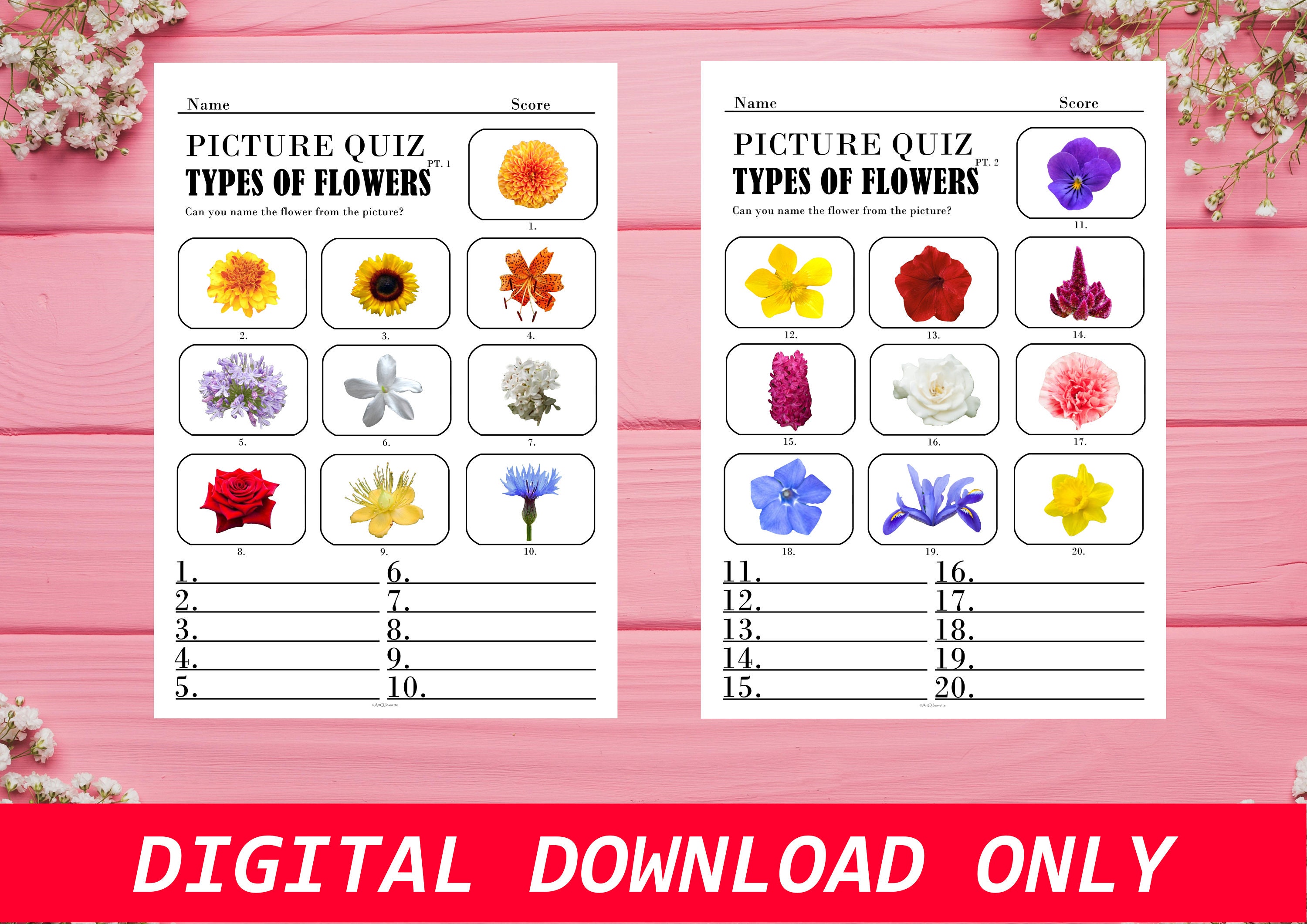 50 Printable FLOWER TYPES Picture Quiz, Picture Trivia, Party Game, Trivia Questions, Pub Quiz