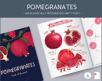 May include: An illustrated guide to the anatomy of a pomegranate, with a watercolor painting of the fruit and its parts labeled with terms like "calyx", "aril", "albedo", "membrane", and "stamen cluster". The guide also includes a diagram showing the steps of how to eat a pomegranate.