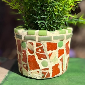 May include: A mosaic-style flower pot with a vibrant green plant. The pot features a mosaic design with orange, green, and cream-colored tiles. The plant has bright green leaves, creating a striking contrast with the pot's colors.