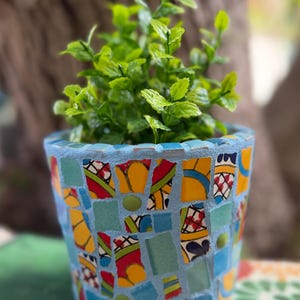 May include: A small plant with vibrant green leaves sits inside a cylindrical flower pot decorated with a colorful mosaic pattern. The mosaic features various ceramic shards in shades of yellow, red, blue, and green, set in light blue grout.