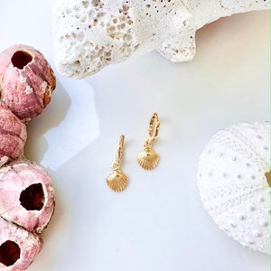 May include: A pair of gold hoop earrings with a small seashell charm hanging from each hoop. The earrings are displayed on a white surface with seashells.
