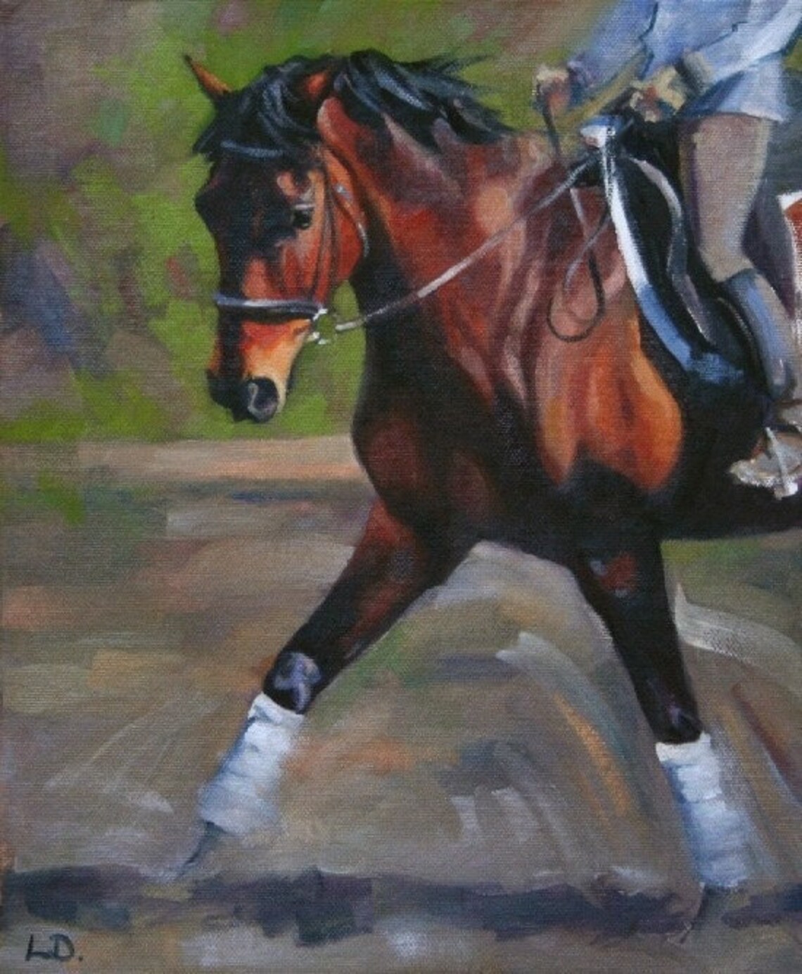 Schooling Session Dressage Horse Oil Painting Dressage Art Etsy