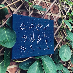 Night Time 12 Star Sign Constellation